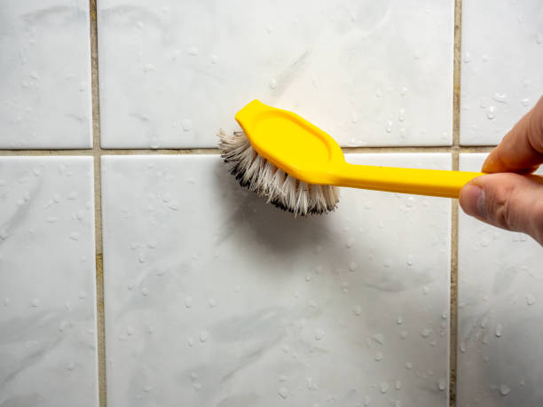  Bloomfield Hills, MI Mold Removal Pros