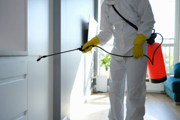 Best Black Mold Remediation in Bloomfield Hills, MI