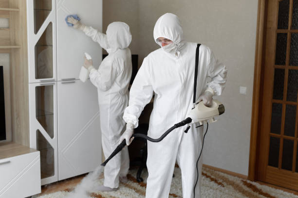 Best Bathroom Mold Remediation in Bloomfield Hills, MI