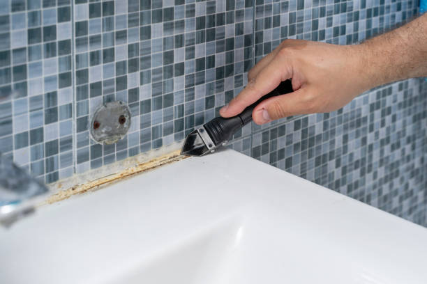 Best Commercial Mold Remediation in Bloomfield Hills, MI