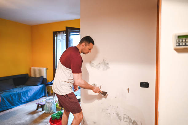 Best Localized Mold Remediation (e.g., coastal areas, humid climates) in Bloomfield Hills, MI